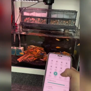 Full Spectrum LED Fish Tank Light with Smart APP Control Timer Color Matching Water Grass Light High Brightness Algae Explosion Aquarium Light 全光谱水族灯