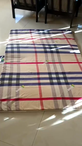 SUPER11 Foldable Foam Mattress Reversible Bed Mat 1/2 Inch Portable Lightweight with Fabric Cover