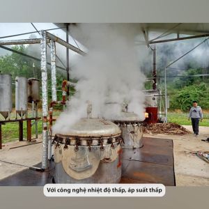 Tinh dầu vỏ quế treo tủ quần áo Befine nguyên chất