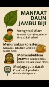 250 gram Bubuk Daun Jambu Biji / 100 gram Tepung Daun Jambu Biji Kering