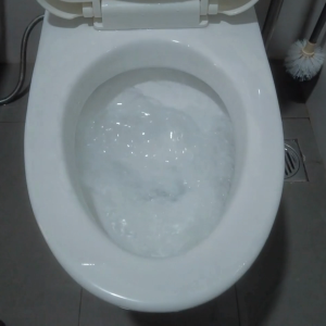 2 Chai Nước Tẩy Bồn Cầu Top Gia Hương Nho