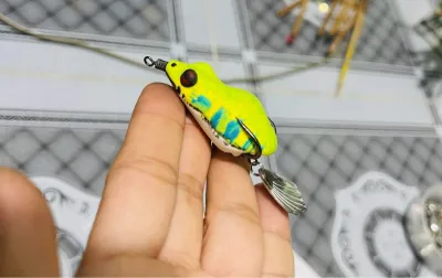 NHÁI HƠI PONG VIỆT NAM 4.5cm