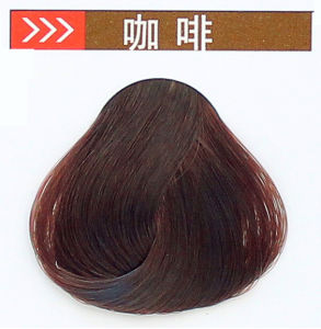 Phấn Nhuộm Tóc Nguyên Chất Từ Thực Vật Chống Dị Ứng Màu Cà Phê Tím Dâu Tây Màu Đen Nâu Dành Cho Tóc Người Lớn