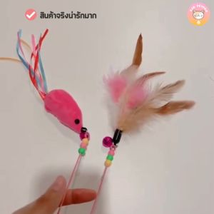 ไม้ล่อแมวคนไข้ ฝึกทักษะในการกระโดด ของเล่นแมว B013