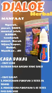 DJALOE HERBAL - ayam sakit apapun - sakit ngorok