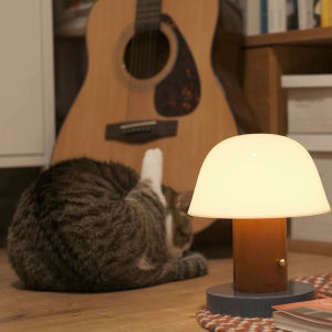 💥Dream Best🔥 Denmark Mushroom Charging Lamp Nordic Rechargeable Decorative Dimmable Portable Atmosphere Small Night Lamp