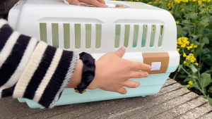 Treny Pet transport cage Cat carrier cage Dog carrier cage Pet Cage Airline Travel Cage Cat Dog carrier