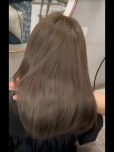 STYLEFIT Ash Brown Hair Color(100ml Hair Dye+100ml Oxidizer)/ Hair Color Permanent