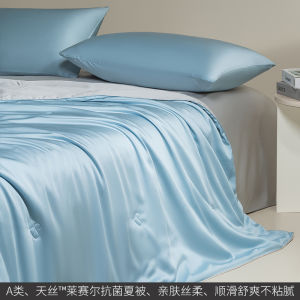 Luxurious Antibacterial Lyocell Summer Quilt Set Light Cool Washable Four-Piece Bedding Set Comfortable Breathable Polyester Fill