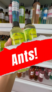 Peppermint Air Freshener Spray – Water-Based Natural Insect Repellent & Odor Eliminator