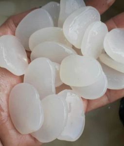 kolang Kaling segar bahan manisan buah aren kolang Kaling 1kg
