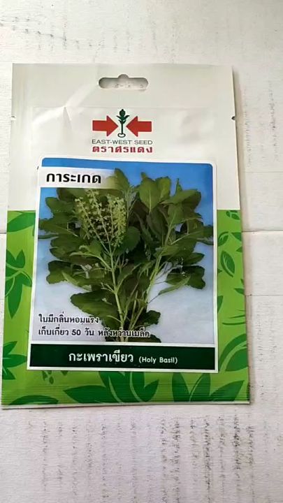 เมล็ดพันธุ์กะเพราเขียว การะเกด ศรแดง 400 เมล็ด