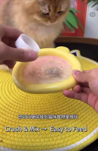 Pet Deworming Medicine Pet Deworming Internal External Deworming Cat Dog 猫狗通用体内外一体驱虫适口性好