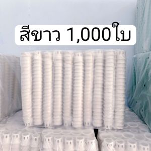 ถ้วยปลูกผักไฮโดรโปนิกส์  เกรด AAA พลาสติกหนา คุณภาพดีเยี่ยม แพ็คละ 1000ใบ(ยกแพ็ค)