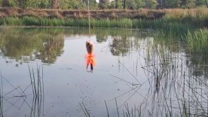 3 ชุด กบกระโดดสามเหลี่ยม หน้ามน 3.5cm x 4.5cm ระดับความยาง 2 แถม 1