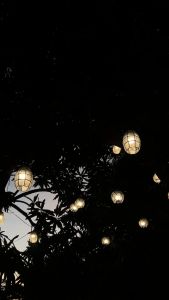 Capiz Shell String Light Waterproof Honeycomb Set of 10 with FREE LED BULBS By Robles Heritage | Energy-Saving Elegant Design Indoor/Outdor | RHLED LAMPS | XP0960