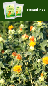 ชาดอกคำฝอย ตราไร่กฤติยา (Safflower Tea) มี อย. การผลิตสะอาด ปลอดภัย ได้มาตรฐาน