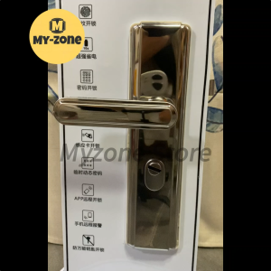 Myzone Stainless steel double lock for main door Silver Mirror surface door knobs for main door set