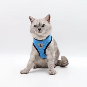 2-in-1 Pet Collar Harness Chest Vest + Leash Kolar Rantai Tali Kucing Comfortable Breathable Mesh Dog Adjustable 宠物牵引绳