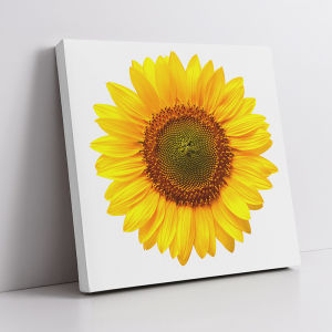 Modern Sunflower Living Room Decor Square Frameless Artwork