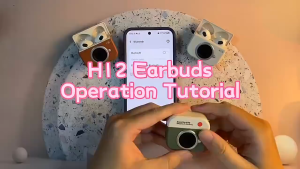 NEW H12 Earbuds Build-in MIC Waterproof Earphones for iPhones For Andriod Touch Conter Noise Cancelling Hi-Fi