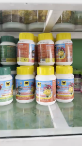 COMBO 3 hủ Đầu Trâu MK 501-701-901Chuyên Hoa lan cây Kiểngnãy chòi ra lá nhanh chóng