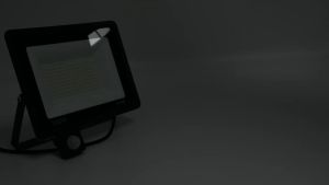 LED PIR Human Motion Sensor Floodlight Outdoor Floodlight White Light 100W 50W 30W 20W 10W IP66 Waterproof LED Garden Yard
