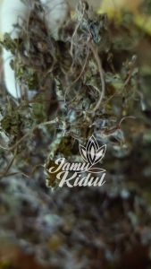 Daun Pegagan 1 kg atau Pegagang Kering Asli Liar