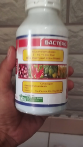 BACTERO PESTISIDA ORGANIK NABATI Kemasan 500 ML melindungi hama serangga kutu kebul wereng ulat