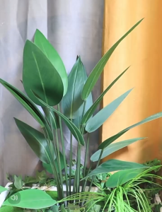 SKYBIRD Artificial Plant Artificial Flower Faux Greenery Potted Plant Home Decoration Indoor Outdoor Decorative Plants for Living Room Bedroom Office Desk Tabletop Garden Café Event Wedding Artificial Decorative Plant Ornament Accessories