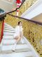 kho sỉ lẻ Minh Hạnh