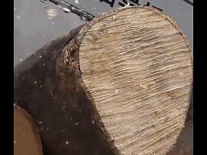 12 inches Cordless Electric Chainsaw with Brushless Motor 48-Volt Lithium-ion Handheld Power Chain Saws with Battery and Charger for Wood Cutting and Tree Pruning