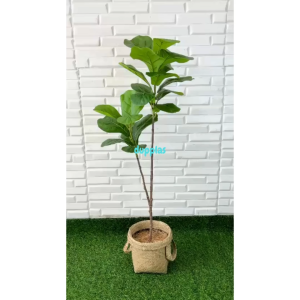 Pohon Hias Tanaman Artificial Ketapang X2 T100 Latex Cover Pot Purun Handle Dekorasi Rumah Pajangan Ruang Tamu