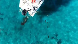 Floating Fishing Horizontal Shrimp Lure Squid Jigging Luminous Octopus Cuttlefish Fishing Baits 7.5cm/10g