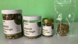 KAPULAGA HIJAU 250gr Biji Kapol Kapul 250 gram Green Cardamom India Kapolaga Rempah Herbal import