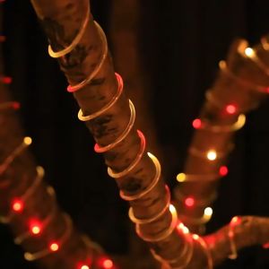 Mengenal dan Menggunakan Lampu Selang String LED & Lampu Hias Luar Ruangan Tenaga Surya