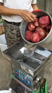 Copper Core/220vstainless Steel Heavy Duty Grinder for Cassava Purple Potato and Other Root Crops