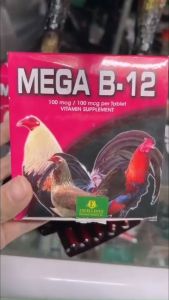 MEGA B12 thuố.c bổ gà đá sung mãn - tăng lực.hừng gàtăng nước máu.