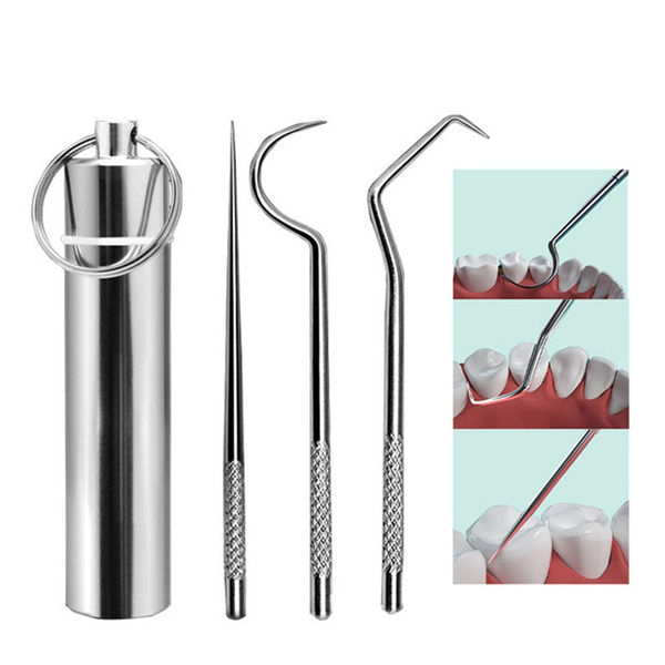 WOOLOVE Stainless Steel Toothpick Set Tooth Flossing Reusable ...