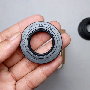 Seal Tc 25 45 11 TTO Original TTO INB JOGJA