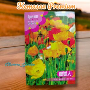 (KEMASAN PREMIUM) BIJI/BENIH BUNGA POPPY ISLAND MIX (isi -+500 butir)
