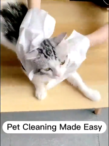10Pcs/Pack Pet Cleaning Gloves Gardenia Fragrance Easy and Quick Cleaning Cat Dog Wipes Gloves