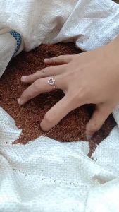 Cocopeat Murni Media Tanam 5 Liter Siap Pakai