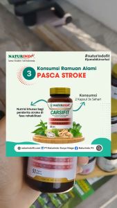 Obat Herbal Stroke Ampuh Mati Rasa Struke Bells Palsy