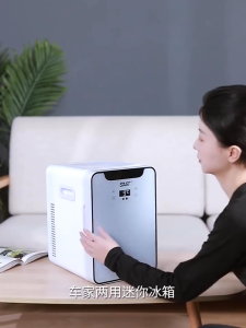 10L Mini Car Refrigerator Fast Cooling Portable Fridge Quiet Energy Saving Double-Layer Storage for Car Travel Home Use