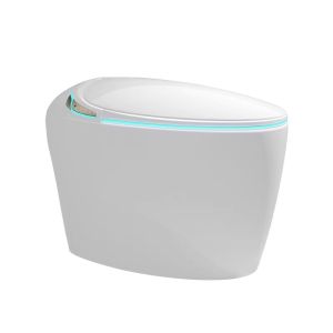 TEM | Smart Toilet with Automatic Cleaning and Drying Function