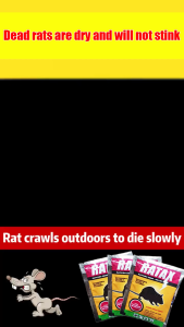 No rats for 10 years racun tikus paling kuat Buy 1 Get 9 Free ubat tikus Dead rats are dry and will not stink Rat poison Eat one pill cause organ damage racun tikus paling berkesan racun tikus mati terus 老鼠藥