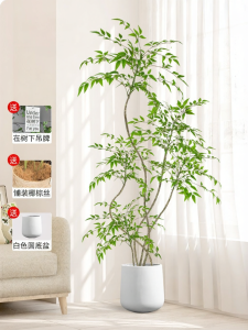 Luxury Artificial Nandina Large Indoor Floor Plant