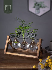 Luxurious Living Room Dining Table Green Plant Bedroom Desktop Entrance High-End Decorative Accessories Premium Feeling Small Audience Vase