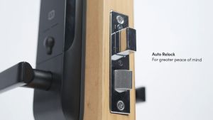 ML5 - Igloohome Affordable Mortise Smart Digital Door Lock